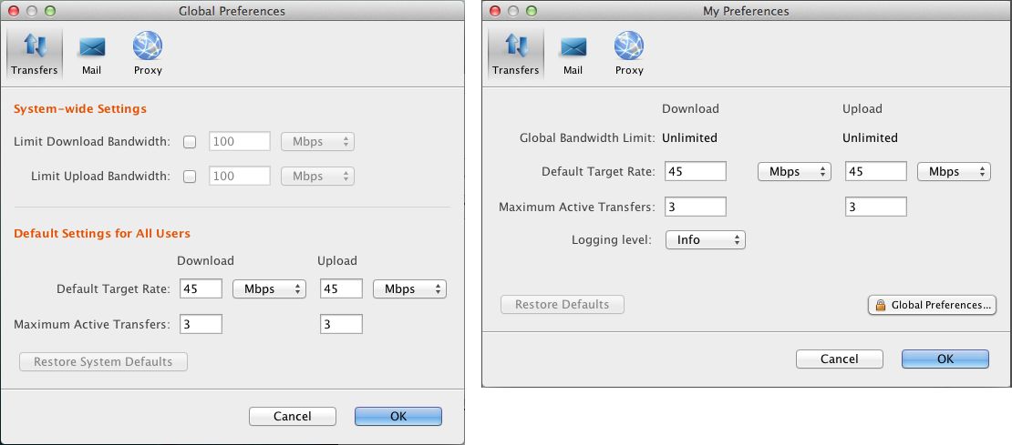 The preferences' Transfer window.