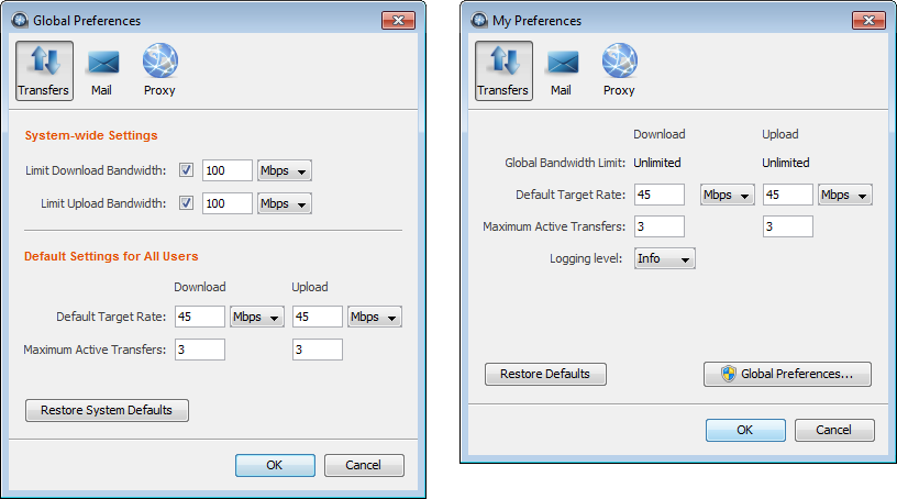 The preferences' Transfer window.