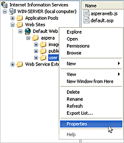 Bring up Web UI's properties.