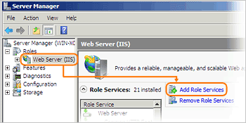 Click Add Role Services.