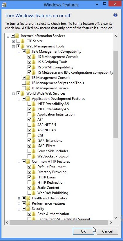 Turn on IIS features.