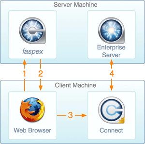 Faspex file transfers