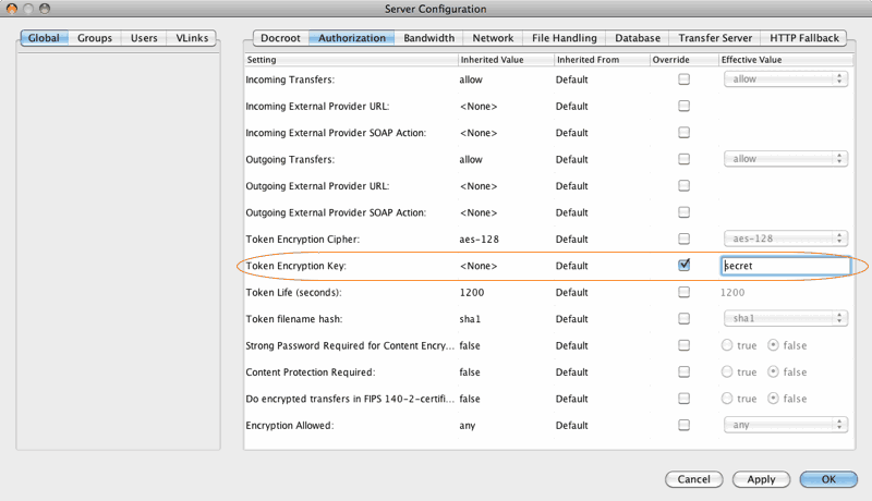 Enter a token string
