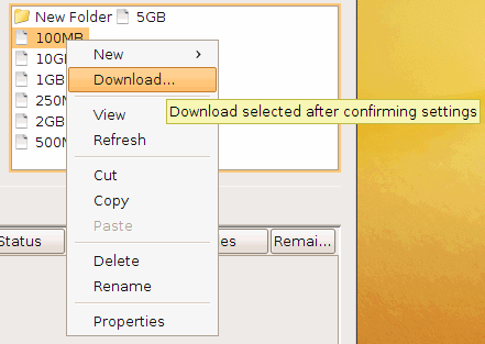 Start a transfer in the advanced transfer mode.